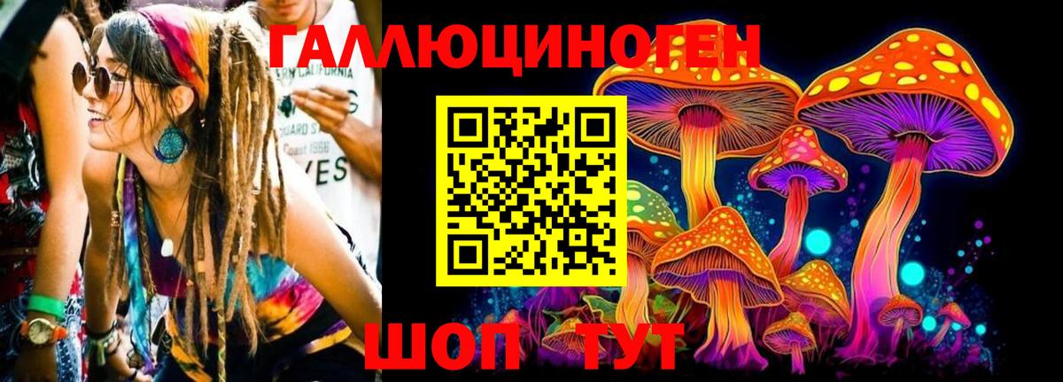 Псилоцибиновые грибы мицелий  Вход с VPN  Клинцы 